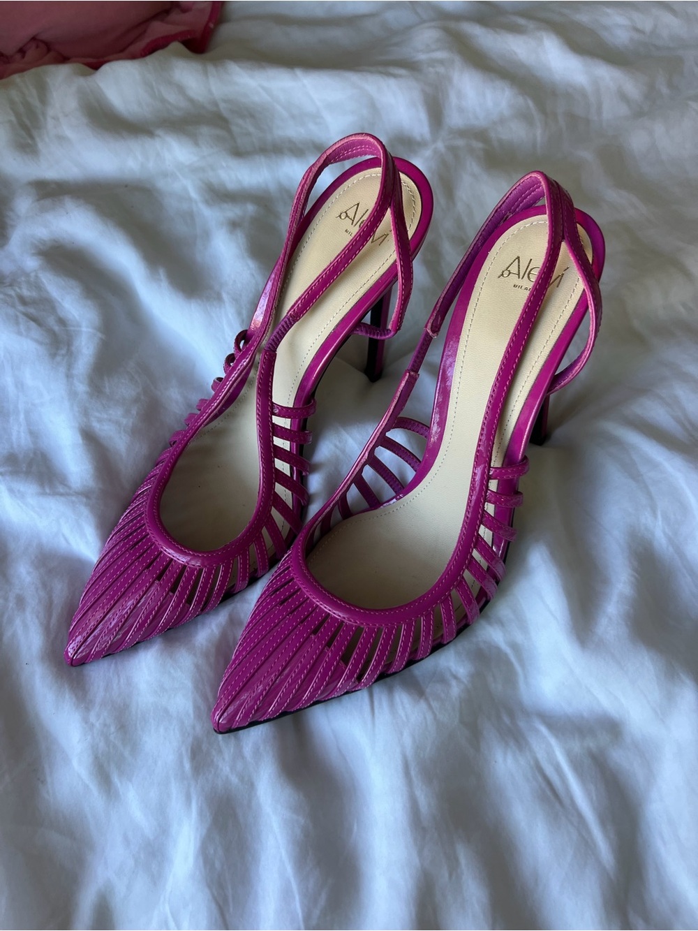 Alevi Milano Designer Strappy Pointed Slingback Heels